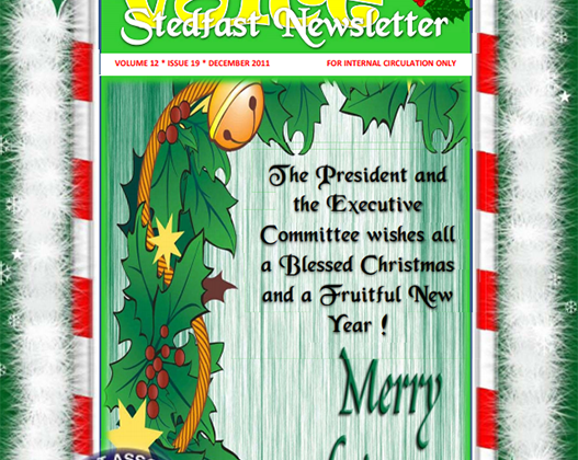 Issue 19 - December 2011
